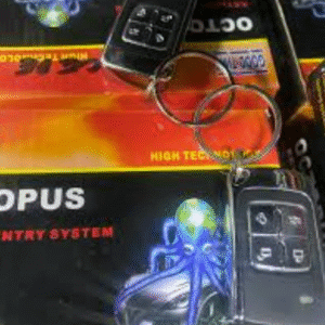 Kit de Fermeture Central A Distance avec 2 télécommandes – OCTOPUS